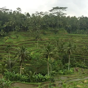  Homestay Pangkung House